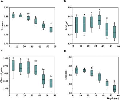 Characteristics of bacterial communities in rhizosphere and bulk soil in Fe-deficient citrus growing in coastal saline-alkali land